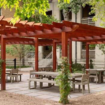 Landscaped courtyard